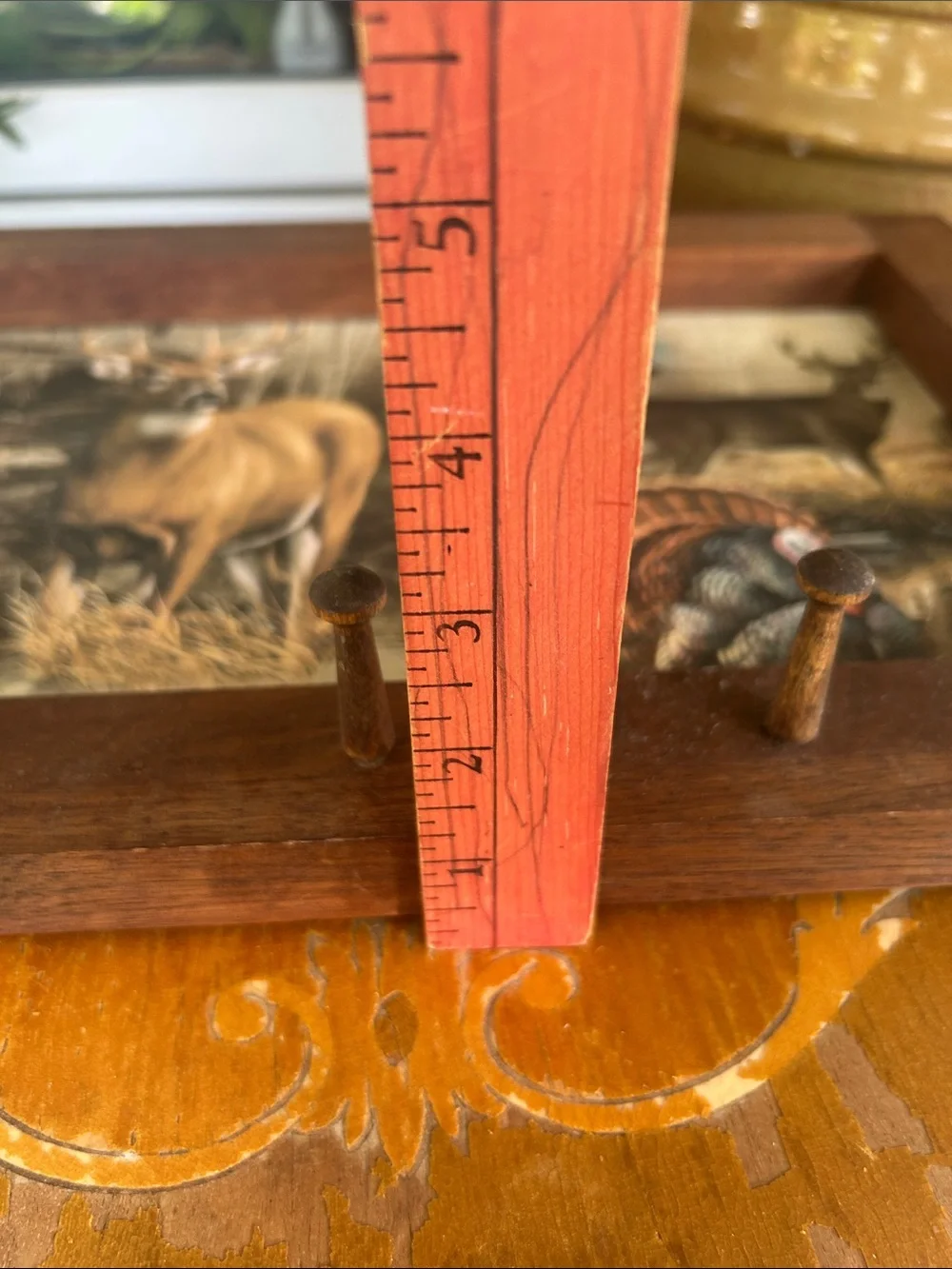 Vintage Framed Wildlife Wall Art with Pegs